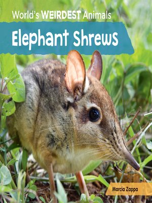 cover image of Elephant Shrews